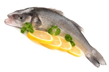 Seabass on a white background