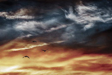 Silence of the sunset