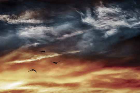 Silence of the sunset