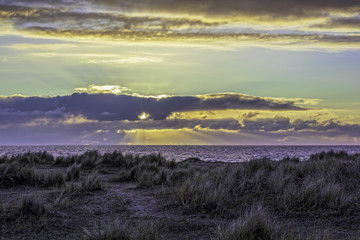 Sunset on the horizon with beach marram grass on the foreground beach.