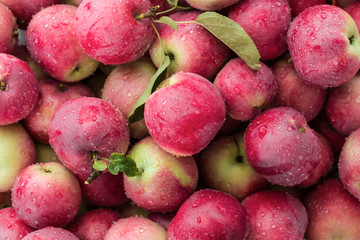 Red apples background
