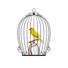 yellow bird in a black cage - 136920378
