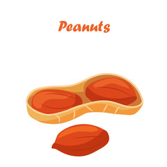 illustration of nuts