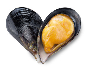 Mussel in a shape of heart.