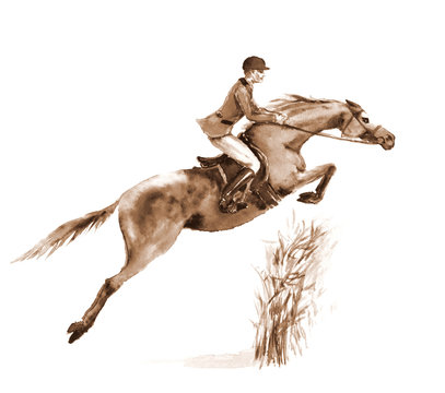 Sepia watercolor rider and horse, jumping a hurdle in forest on white. Jumping steeplechase competition horseman in jacket at. England equestrian sport. Hand painting illustration