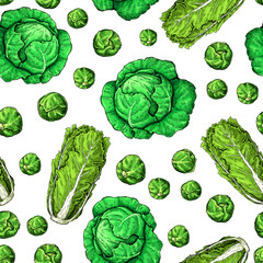 Cabbage hand drawn vector seamless pattern. Chinese cabbage, brussel sprout.