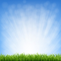 Fototapeta premium Grass With Blue Sky And Grass Border