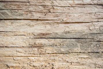 The cut trees, harvesting wood, fabric forest, background for text