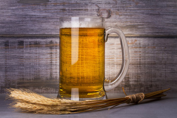 Glass of beer and barley cereal grain. Beer still life
