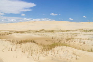Dunes in Tavare city
