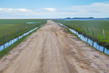 Fototapeta na wymiar Dirty road to Lagoa do Peixe lake