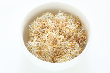 sprout and sesame dressing salad