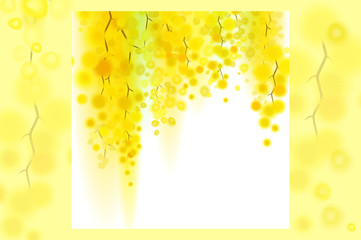 Yellow mimosa spring flowers vertical garland on white background.