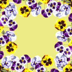 Fototapeta na wymiar Beautiful floral background of purple and yellow pansies 
