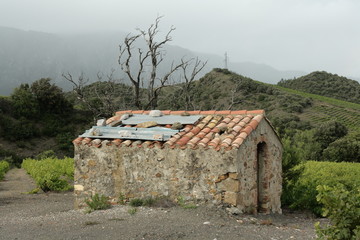 Cabane isolée dans les vignes, Pyrénées Orientales,France