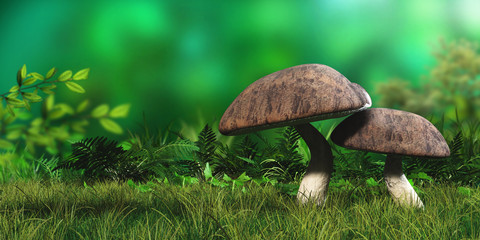 Beautiful mushrooms on a blurred background,  Mushroom on the grass, forest background with mushrooms
