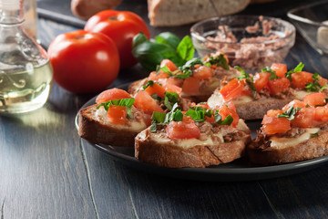 Fototapeta na wymiar Appetizer bruschetta with tuna, mozarella cheese and tomatoes