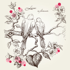 Love birds on tree branch. Valentine's day design
