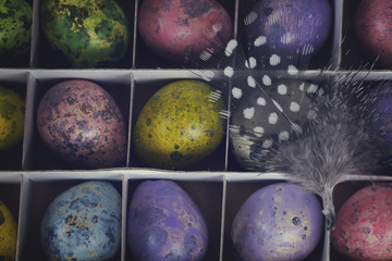 Colored quail eggs with feather close up, retro toned