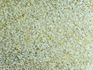White rice texture