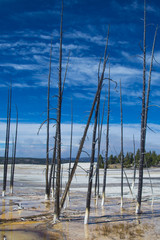 Yellowstone National Park, USA
