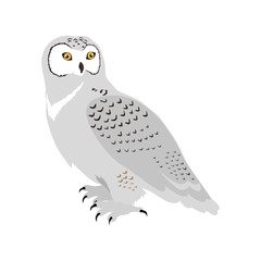 Snowy Owl Flat Design Vector Illustration