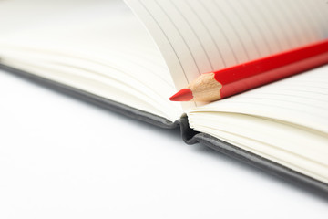 Colored pencil is in the open notebook