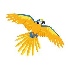 Flying Ara Parrot Flat Design Vector Illustration