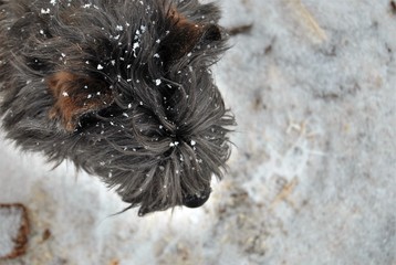 winter