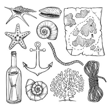 Hand drawn vector illustrations - collection of seashells and  m