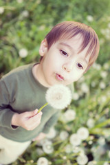 Cute kid having fun with dandelions