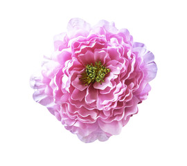 Pink artificial flower on white