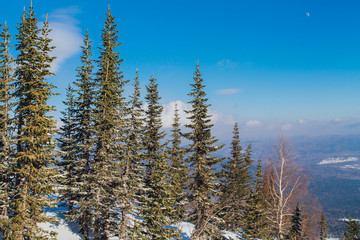 Beautiful winter landscape