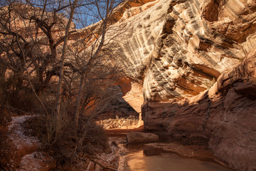Frozen river in the Natural Bridges National Monument in winter, USA