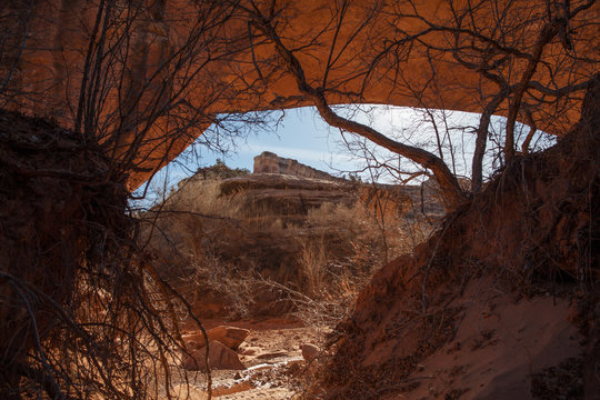 Sipapu Bridge in the Natural Bridges National Monument in winter, USA
