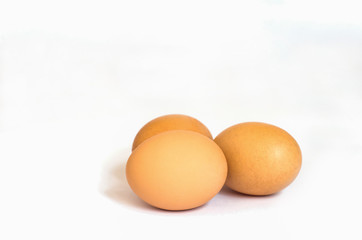 eggs on white background