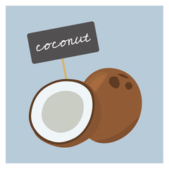 Vector Fruit - Coconut
