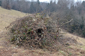 Baumschnitt, Abfall