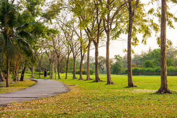 Public park for people enjoyment and recreation. It is in Bangkok, Thailand.