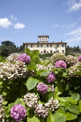 Italia,Toscana,Firenze,Castello,villa Medicea della Petraia
