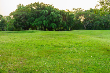 Mound in a park. There are grasses covering it.