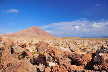 mountain in the stone desert