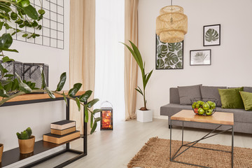 Room interior with plants
