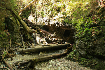 Wooden ladder, Slovak paradise national park