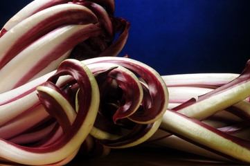 Radicio Radicchio rosso tardivo di Treviso Cuxina Cucina veneta Cuisine of Veneto رده:آشپزی ونتو  © Comugnero Silvana