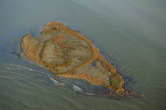 Aerial view over the Danube delta, with island of land, Danube delta rewilding area, Romania, June 2012