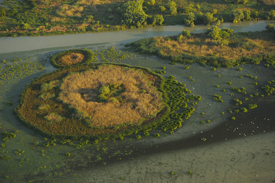 Aerial view of islands of vegetation in the Danube delta rewilding area, with island within wetlands, Romania, June 2012