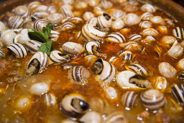 Snail casserole