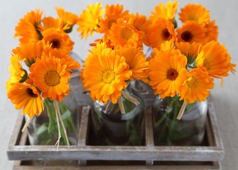 Marigolds.
