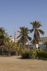 sand, palms and minaret
